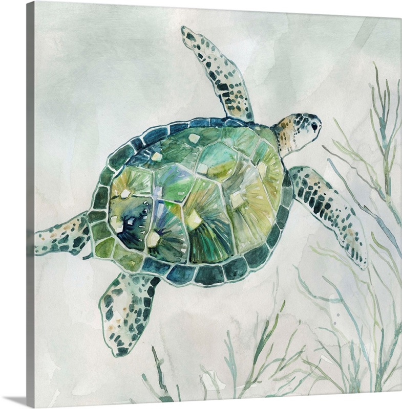 Seaglass Turtle I | Great Big Canvas