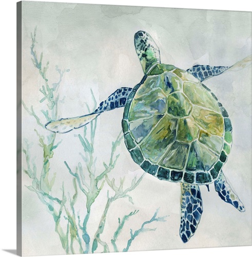 Seaglass Turtle II | Great Big Canvas