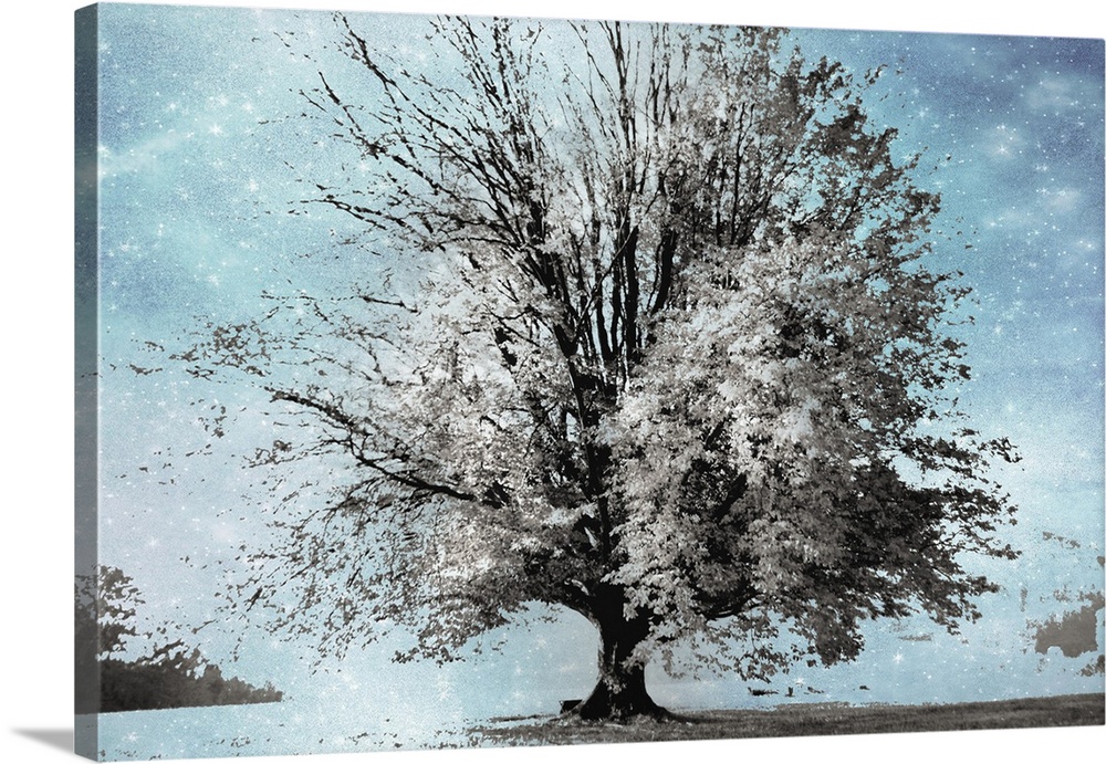 Surreal photograph of a Winter tree in gray, white, and black tones composited on a blue starry background.