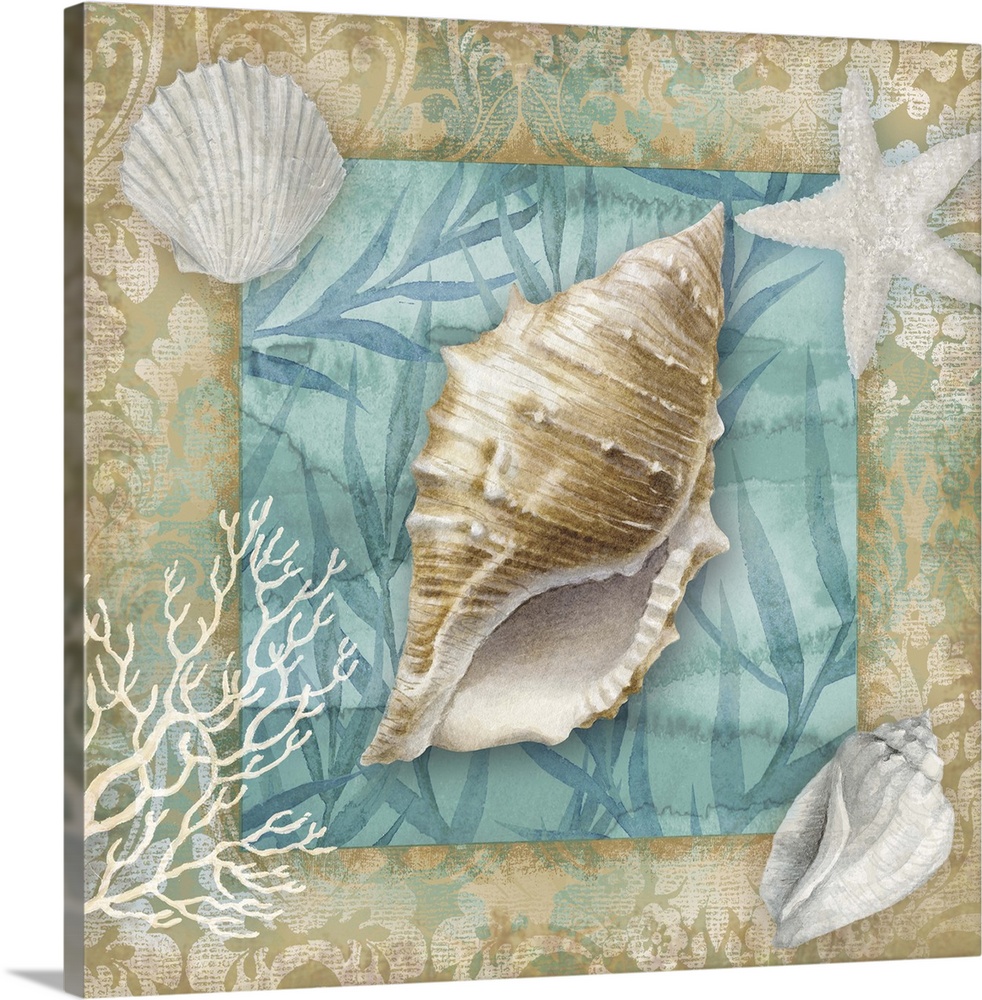 Square art of seashells with a teal and tan background.