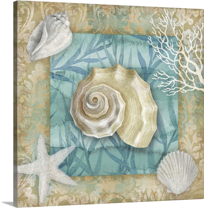 Shell Collection II Wall Art, Canvas Prints, Framed Prints, Wall Peels ...