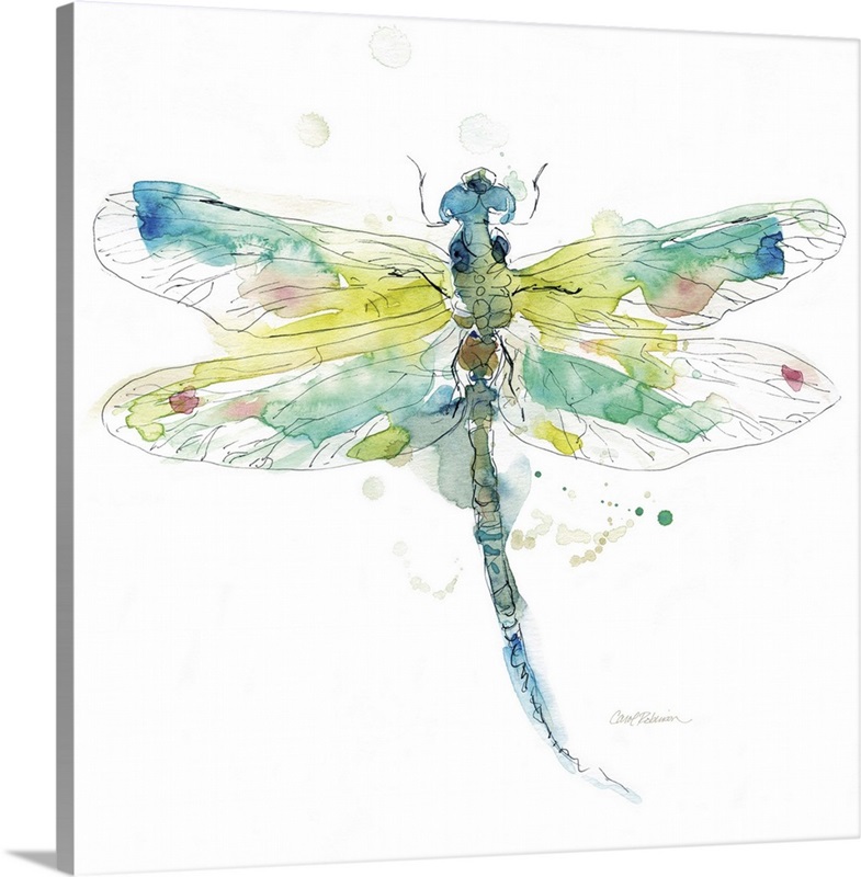 Sketchbook Dragonfly Wall Art, Canvas Prints, Framed Prints, Wall Peels ...