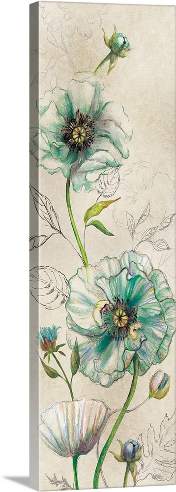 Large panel sketch of poppies with the petals colored in a various hues.