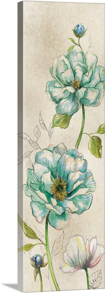 Large panel sketch of poppies with the petals colored in a various hues.