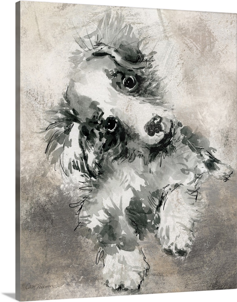 Watercolor painting of a cute collie in grey, black, and white tones on a mixed neutral colored background.