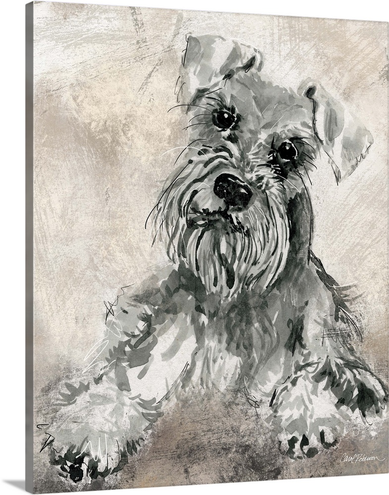 Watercolor painting of a cute schnauzer in grey, black, and white tones on a mixed neutral colored background.