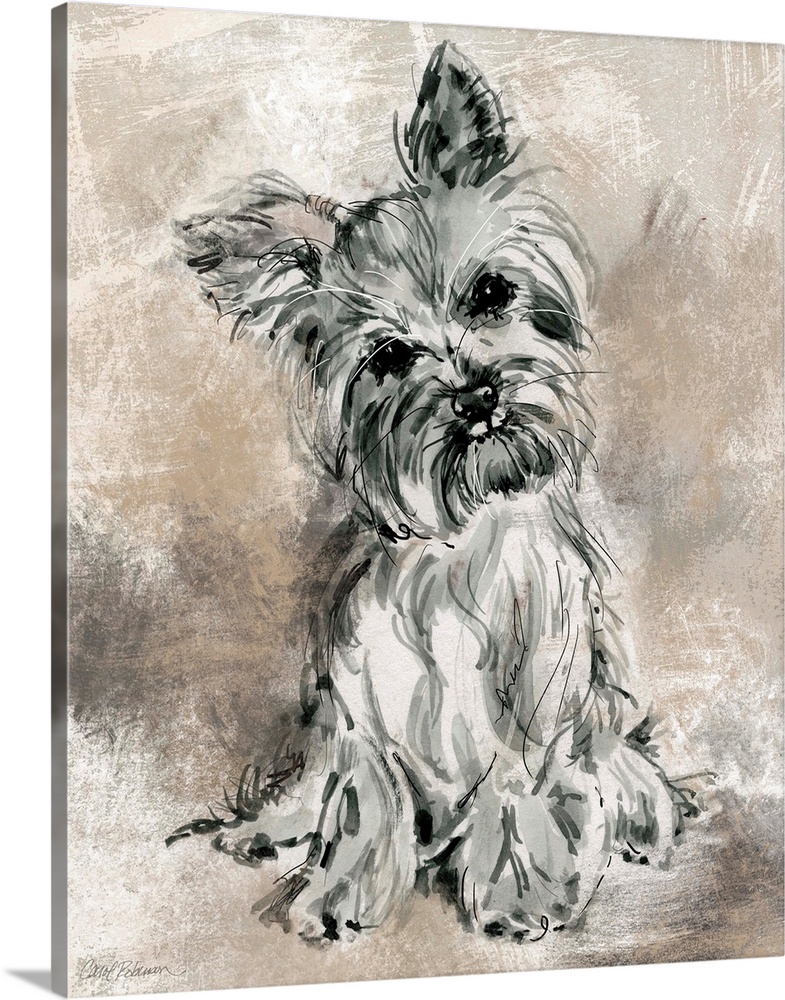 Watercolor painting of a cute yorkie in grey, black, and white tones on a mixed neutral colored background.