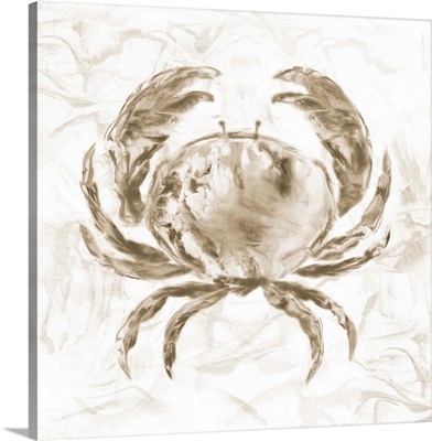 Soft Marble Coast Crab