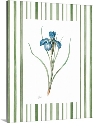 Spring Iris II image thumbnail
