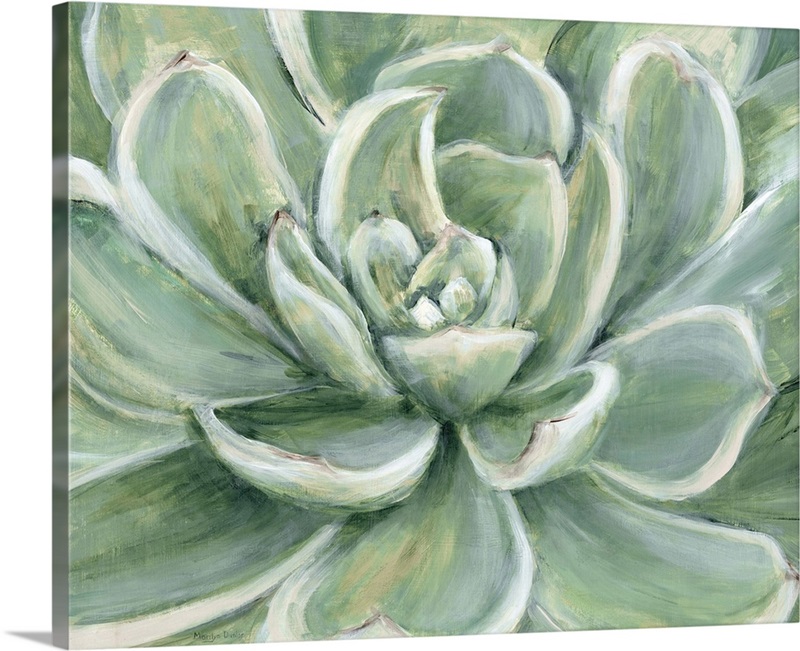 Succulent Wall Art, Canvas Prints, Framed Prints, Wall Peels | Great ...