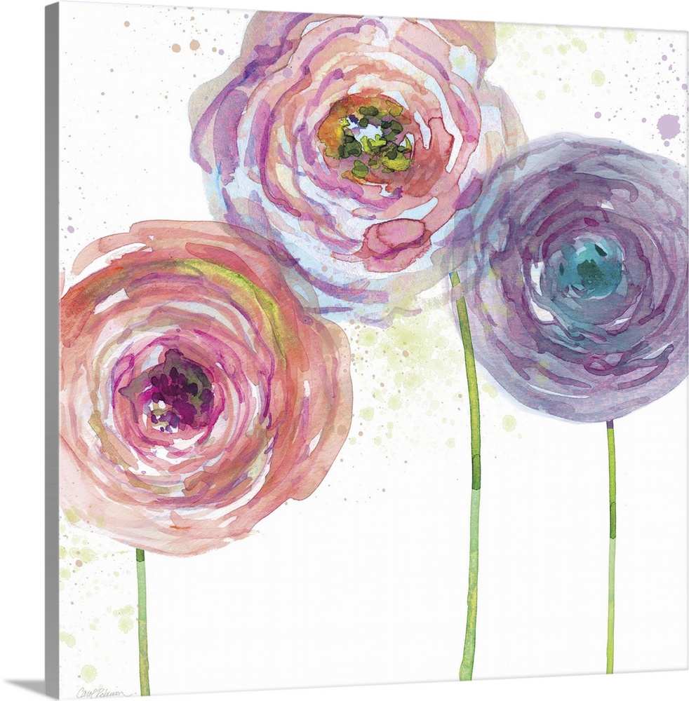 A watercolor painting of three pink, purple, and blue toned flowers.