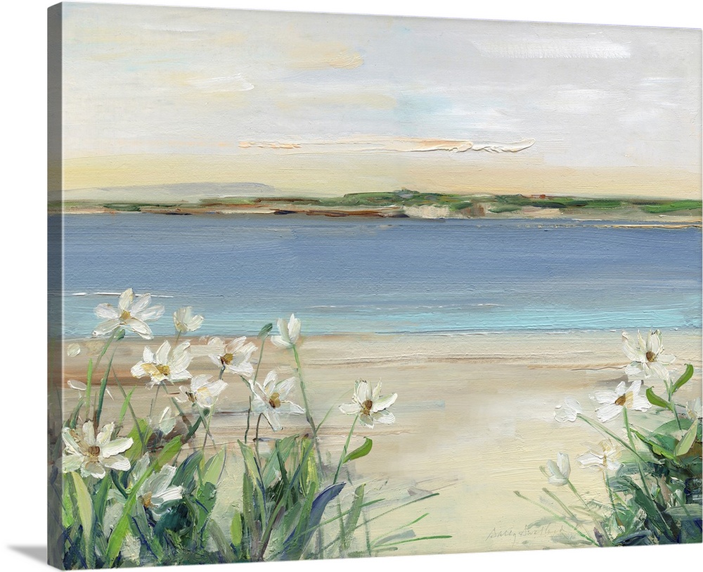 Tranquil Cove