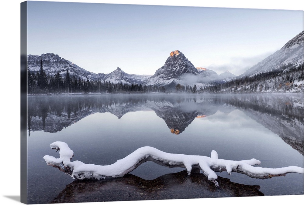 Snow-covered driftwood on a lake in Two Medicine in Glacier National Park, Montana.