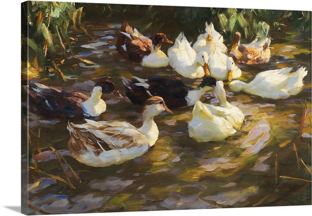 White Ducks In The Pond