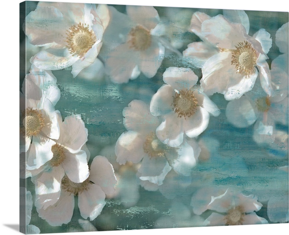 Dream-like painting of white poppy flowers on a blue background with wood grain.