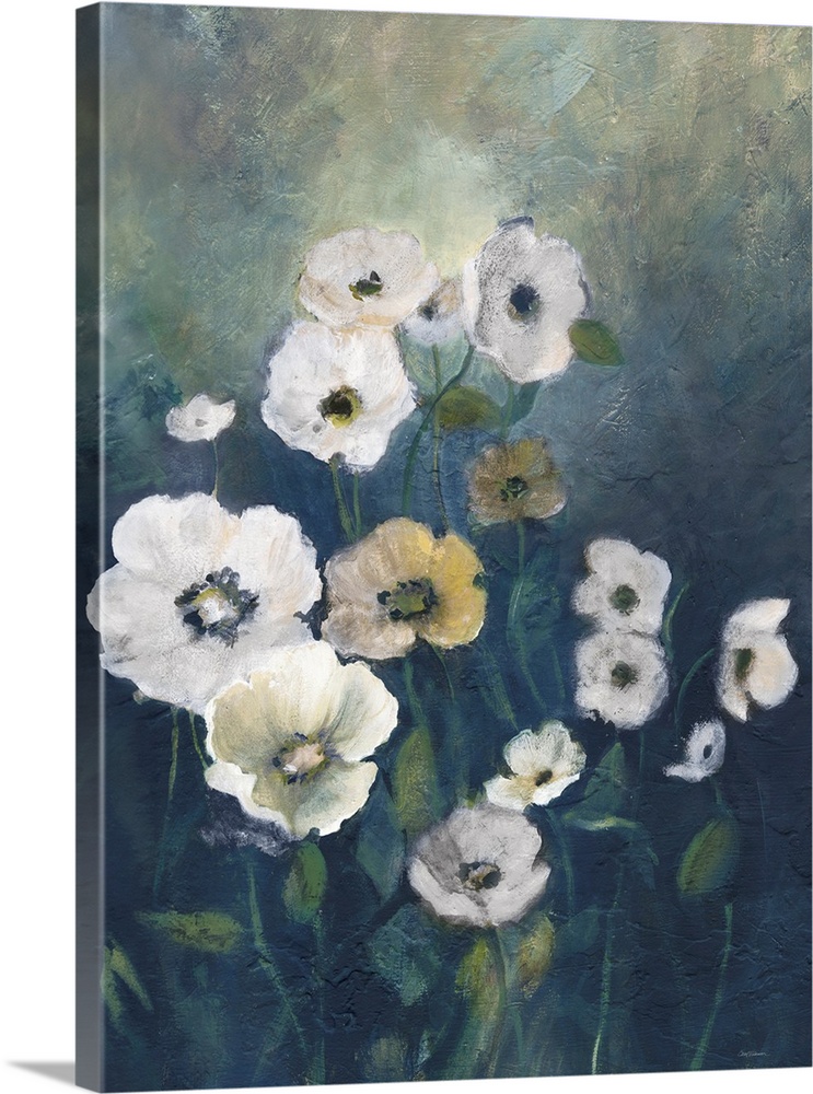 White Poppies At Dawn I