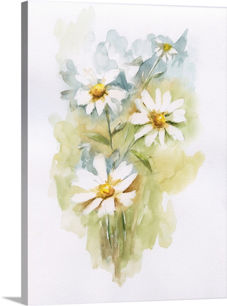 Watercolor daises emerge from soft gradated blue and green hues against a white background in this painting.