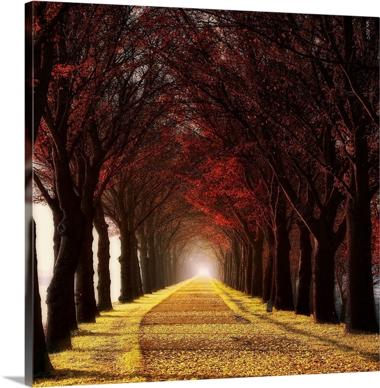Wonder Curve | Great Big Canvas