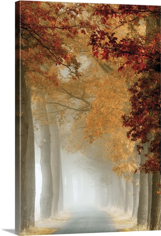Wonder Curve | Great Big Canvas