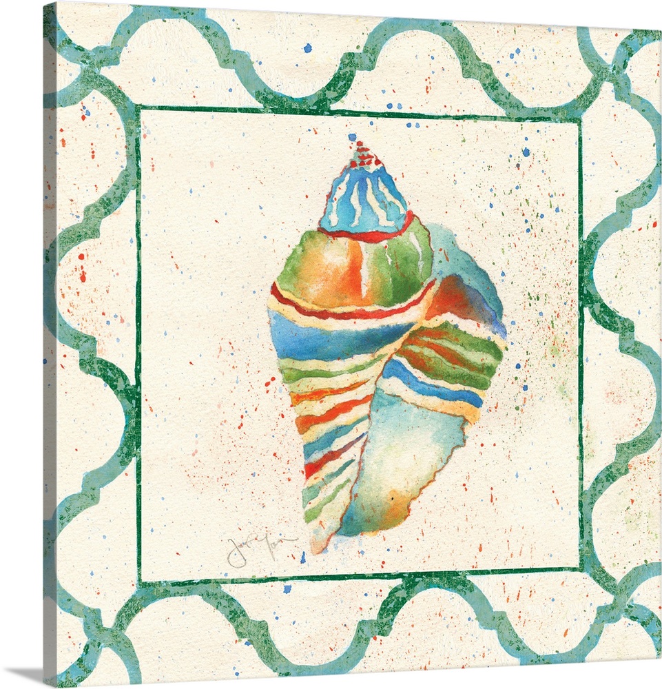 A conch shell with rainbow stripes and a green border.