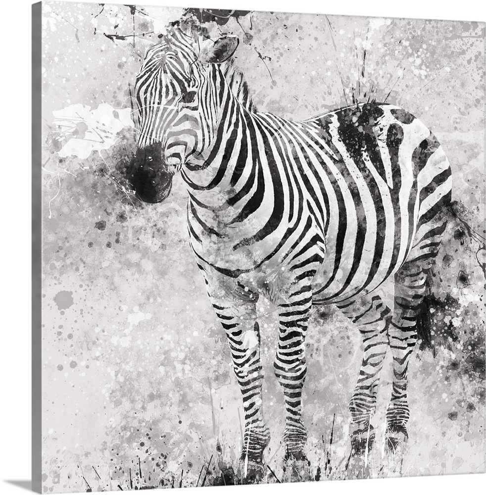 Contemporary artwork of a zebra against a textured looking background with an overall grungy and distressed look.