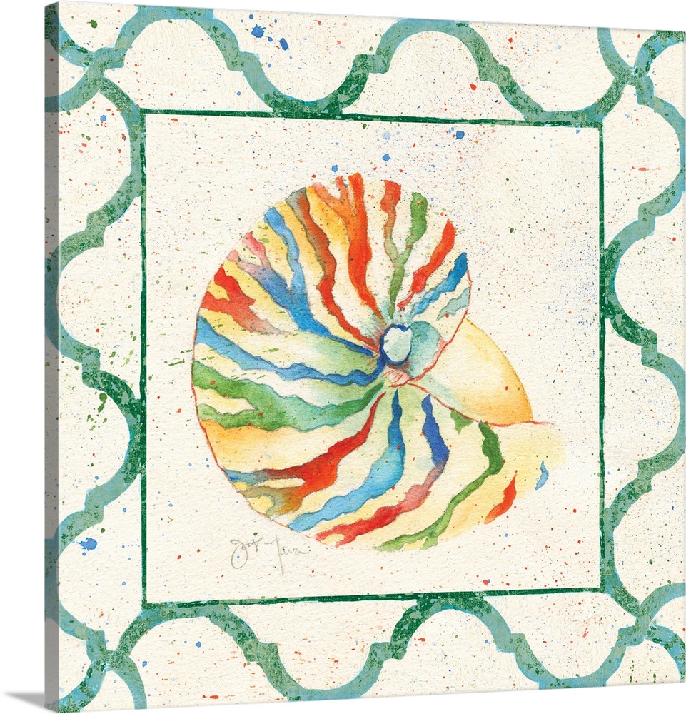 A nautilus shell with rainbow stripes and a green border.