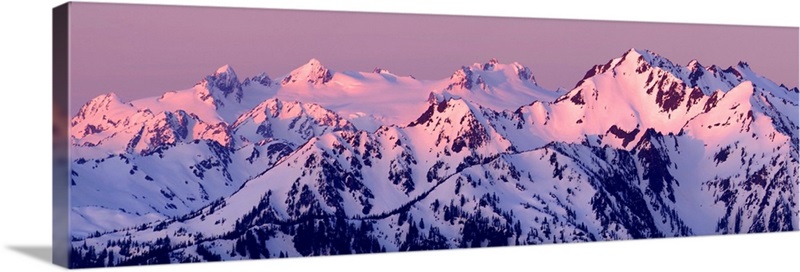 Alpenglow on Mt. Olympus | Great Big Canvas