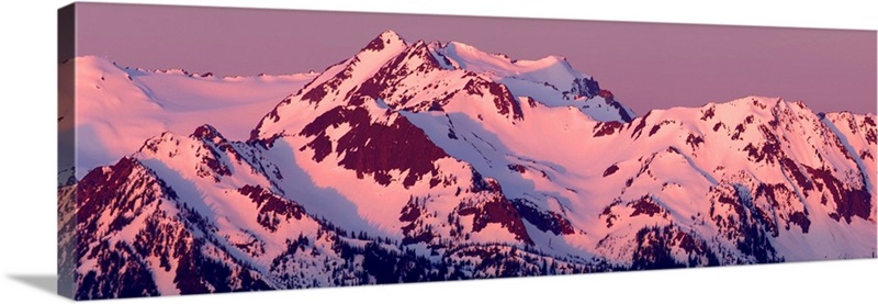 Alpenglow on Olympic Mountains | Great Big Canvas