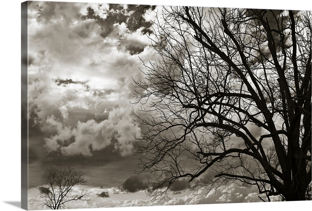 This is a monochromatic, landscape photograph of a cloudy sky and the silhouette of a tree against it.
