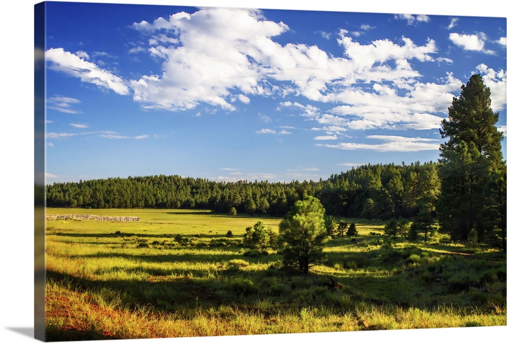 Landscape photograph of a ranch in Arizona lined with lush green trees.