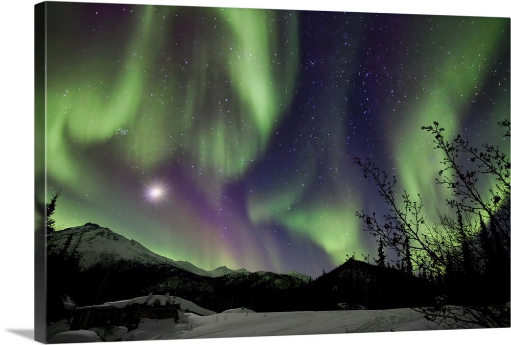 Aurora Borealis VIII Wall Art, Canvas Prints, Framed Prints, Wall Peels