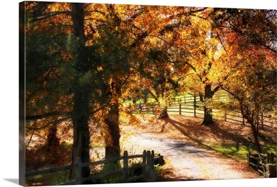 Autumn on Kent Farm I