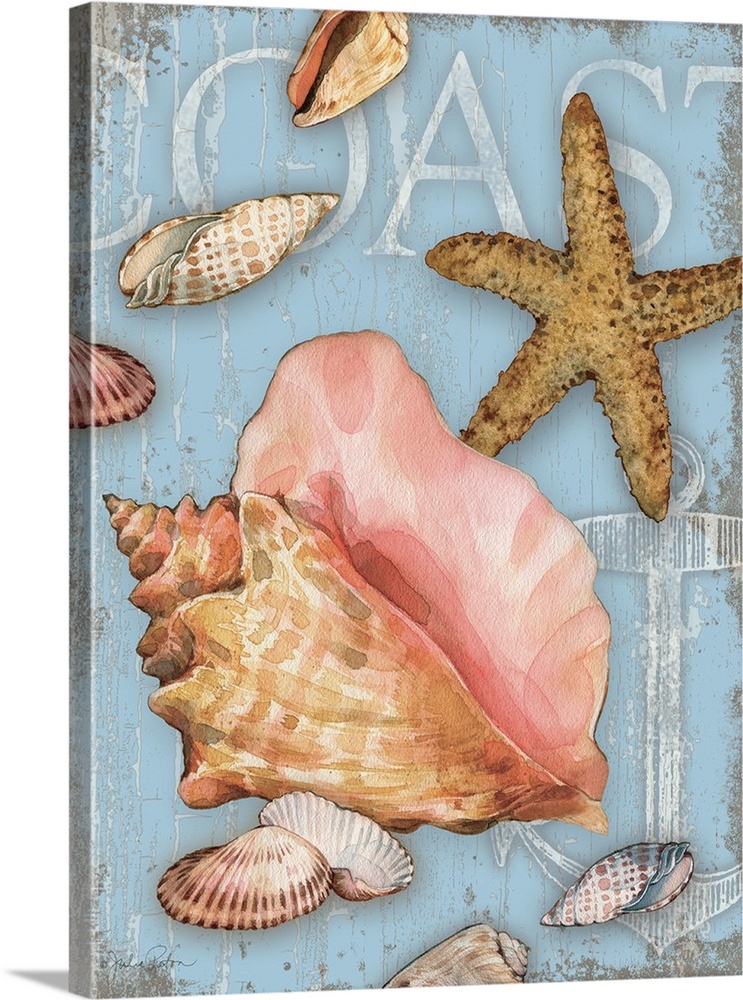 Beach themed decor with seashells and a starfish on a light blue background with the word "Coast" written and an illustrat...
