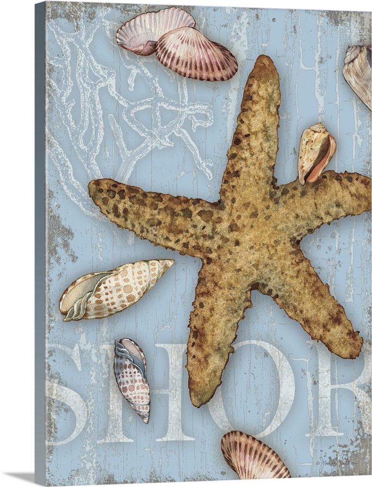 Beach themed decor with seashells and a starfish on a light blue background with the word "Shore" written and an illustrat...