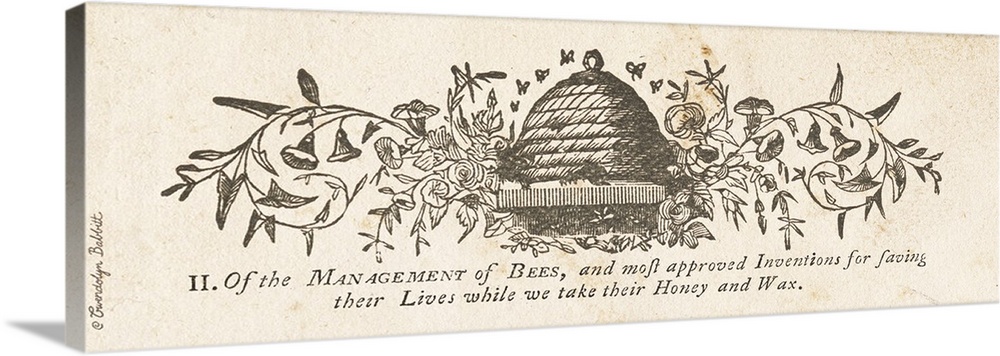 Panoramic vintage illustration of a bees nest surrounded by florals and bees flying above with text at the bottom.