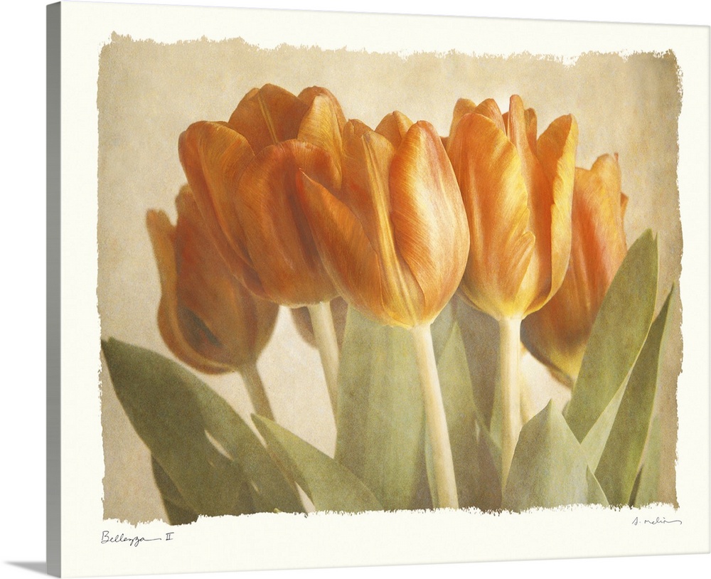 Soft painting of tulips in the middle of a neutral canvas.