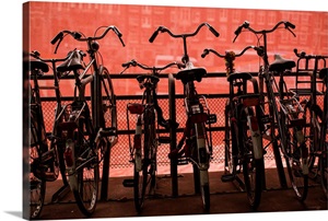Bicycles at Centraal Station II image thumbnail