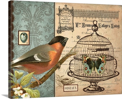 Bird and Cage I