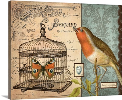 Bird and Cage II