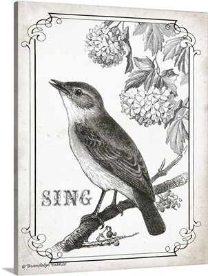 Bird Sing