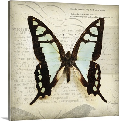 Butterflies Script I - mini