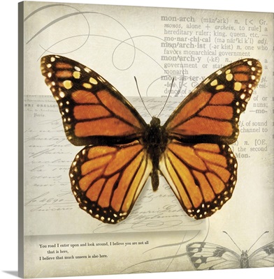 Butterflies Script II - mini