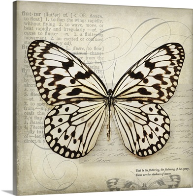 Butterflies Script III - mini