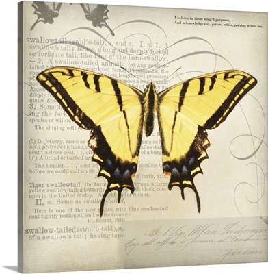 Butterflies Script V - mini