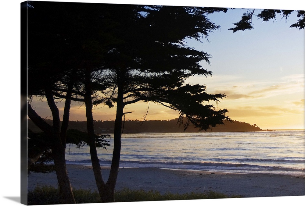 silhouettes of trees in front of an ocean sunset in Carmel, California.