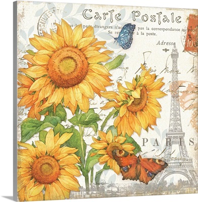 Carte Postale Sunflowers II