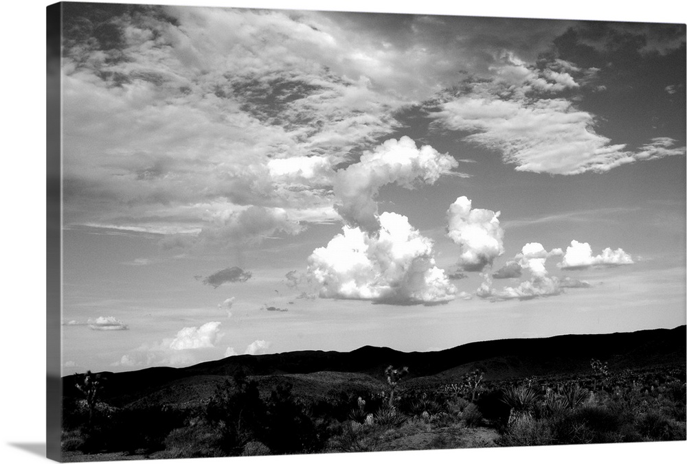 Clouds in Joshua Tree II