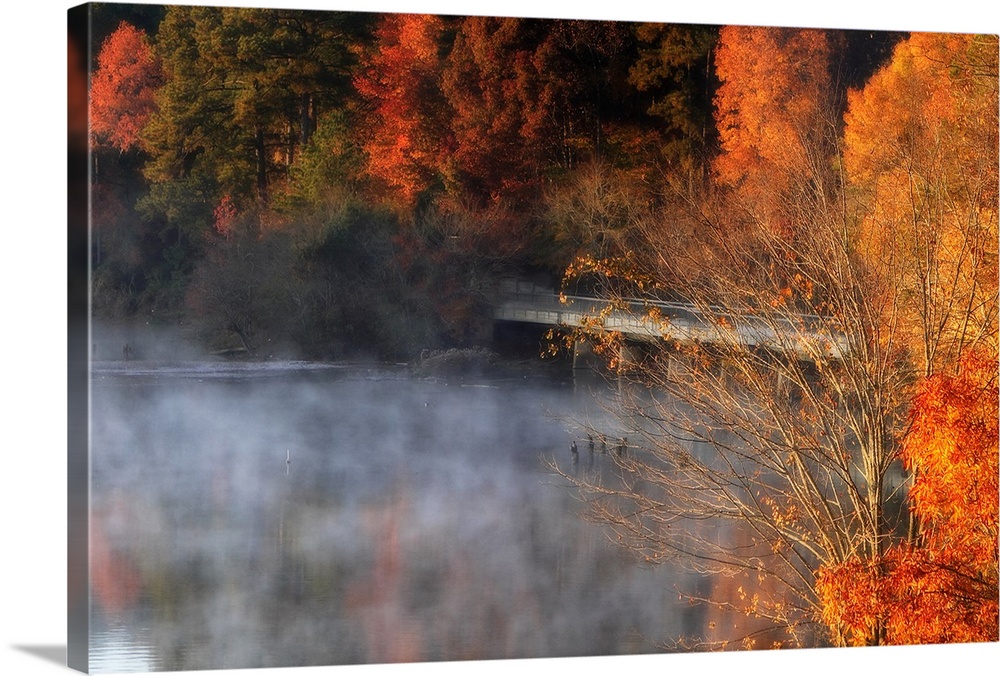 Giant horizontal photograph of vivid fall colored trees surrounding a bridge, as a fog rises from the water in early morning.
