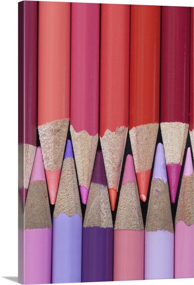 Colored Pencils - shades of reds, purples and pinks