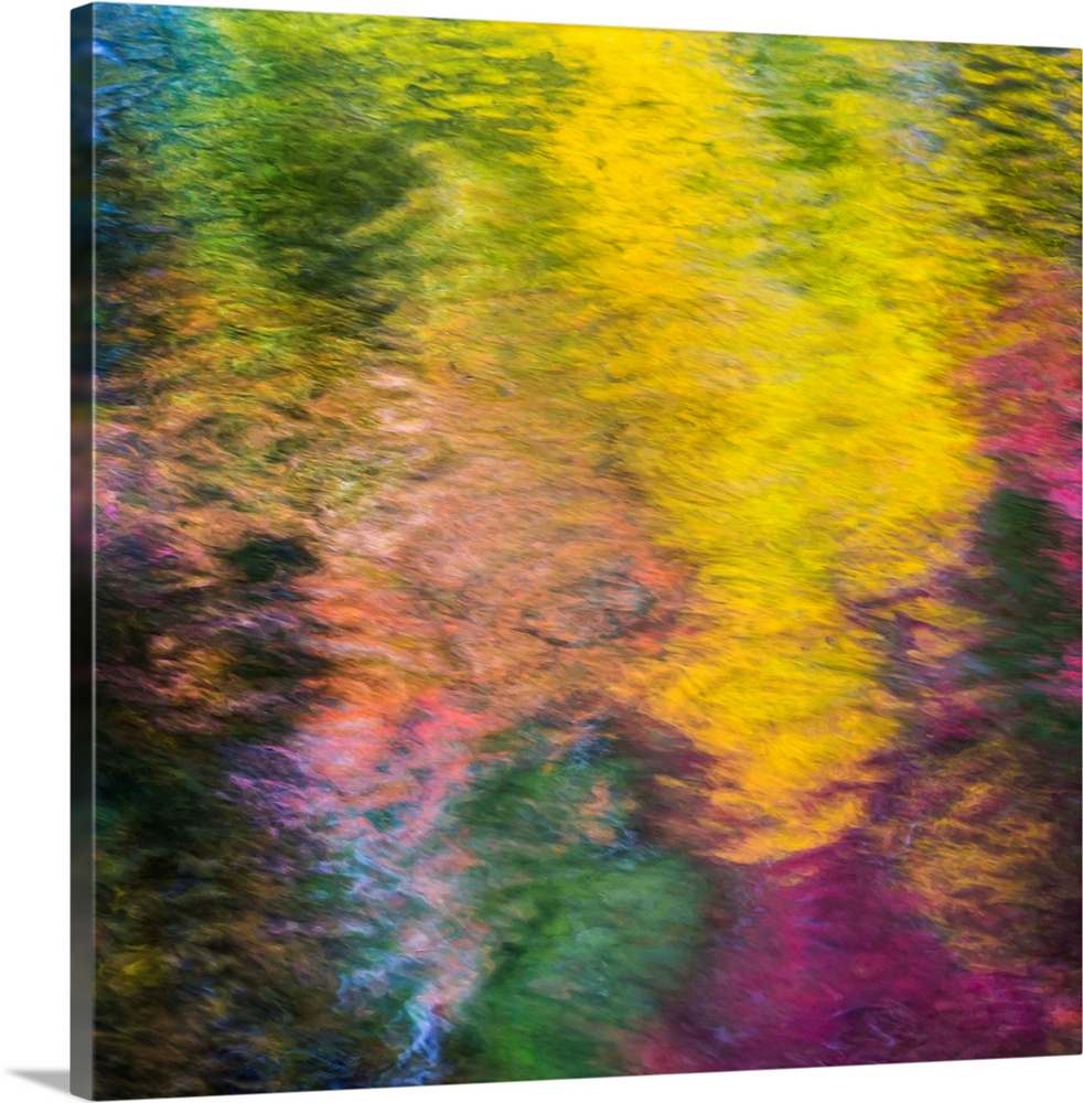 Reflections of a colorful forest in rippling water, creating an abstract image.